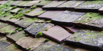 Clows Top roof repair costs